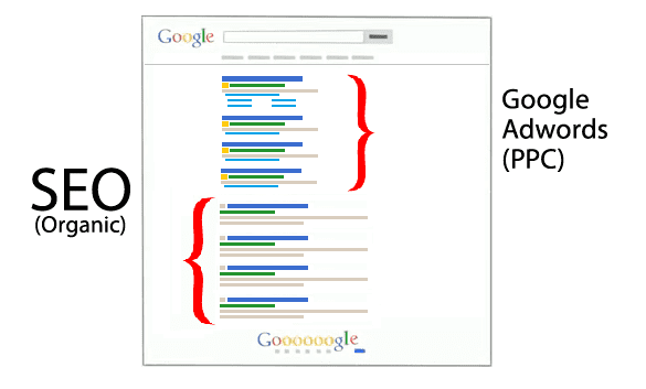SEO vs Google Ads South AFrica